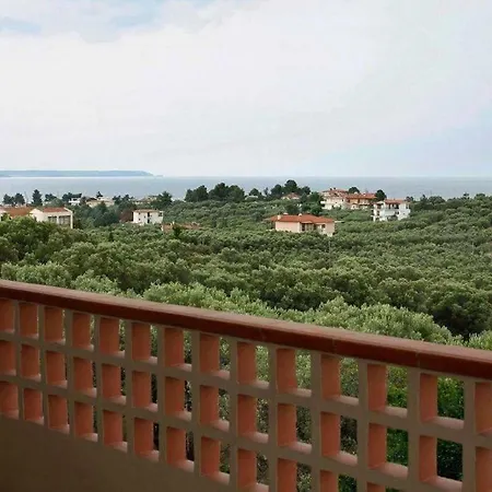 Olive & Sea